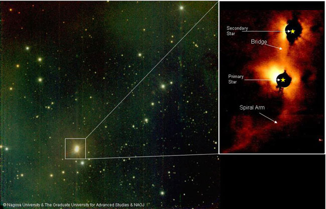 Double Sunsets May be Common, But Twin-Star Setups Still Mysterious